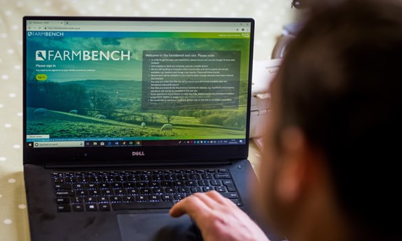 Farmbench man with laptop